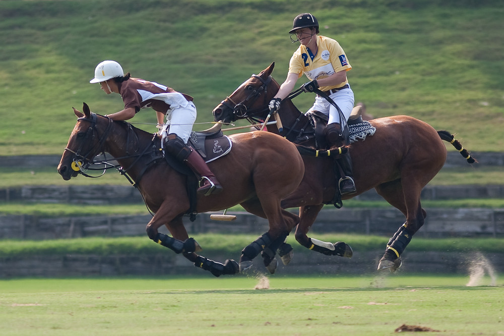 Polo