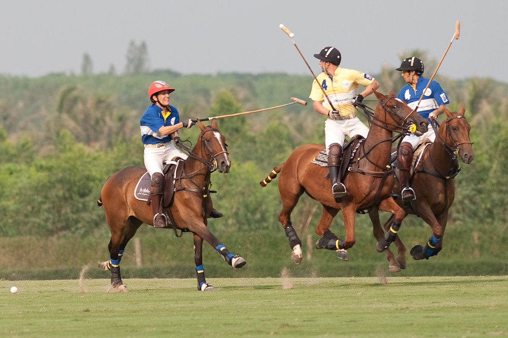 Polo