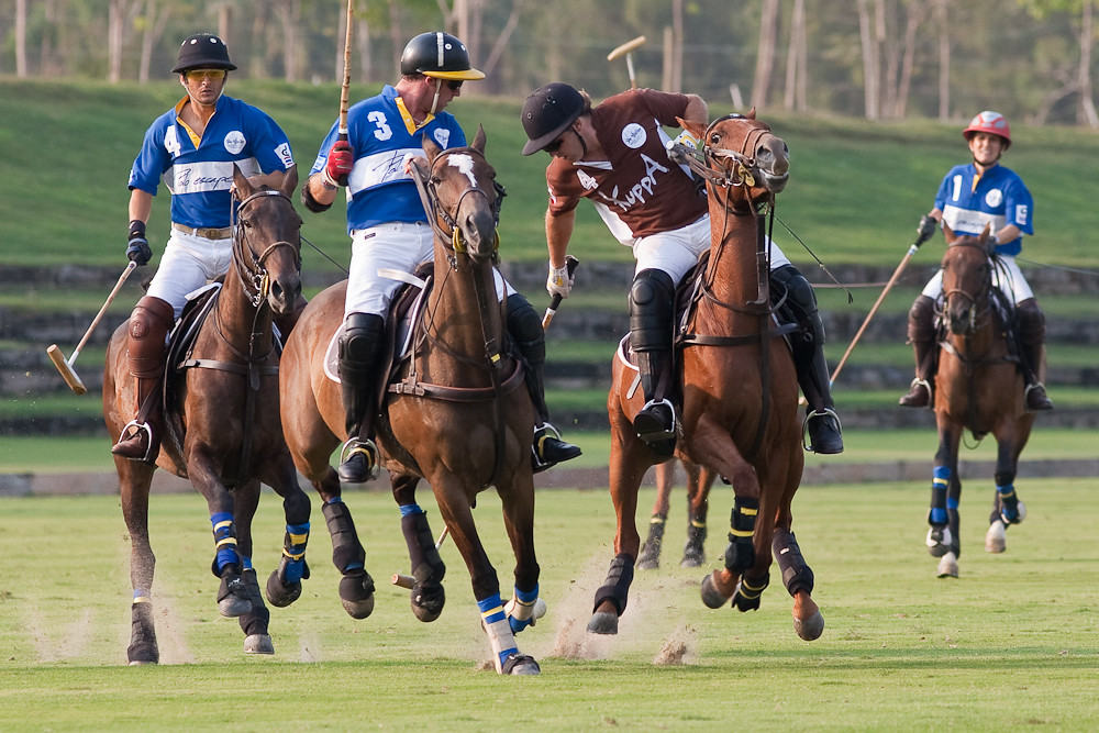 Polo
