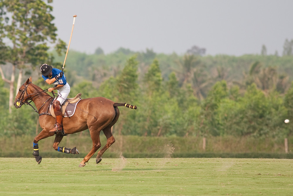 Polo
