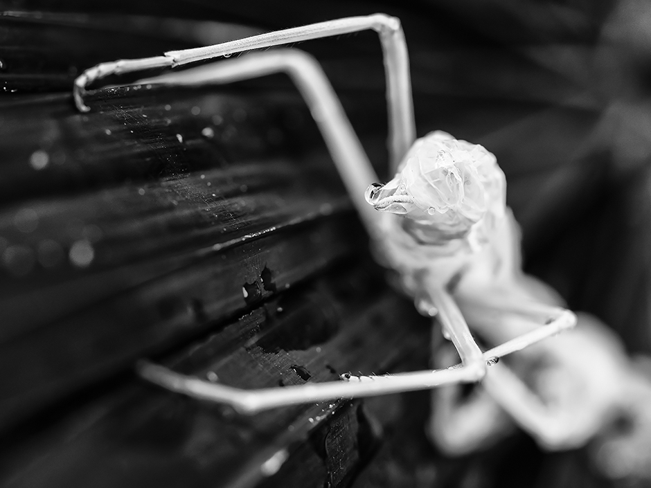 S9080640-Edit