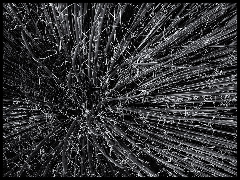PA100103-Edit